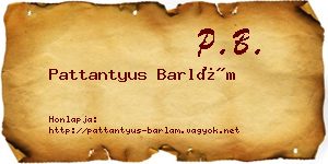 Pattantyus Barlám névjegykártya